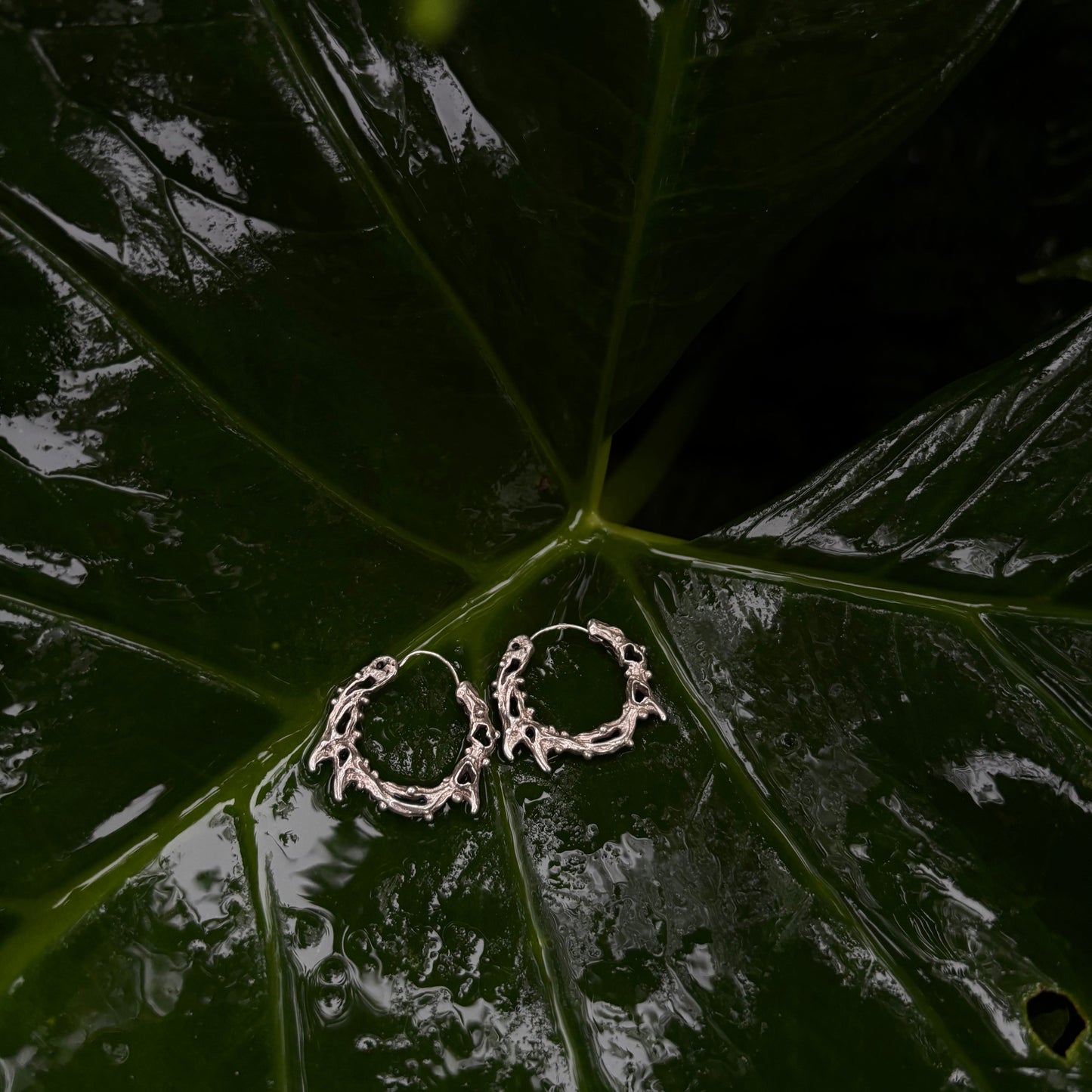 Sterling Silver Earrings "Melted Halo"